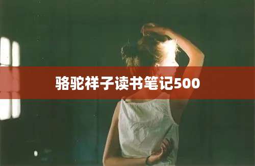 骆驼祥子读书笔记500