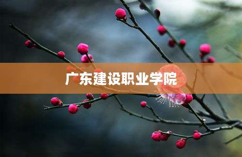 广东建设职业学院