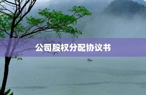 公司股权分配协议书