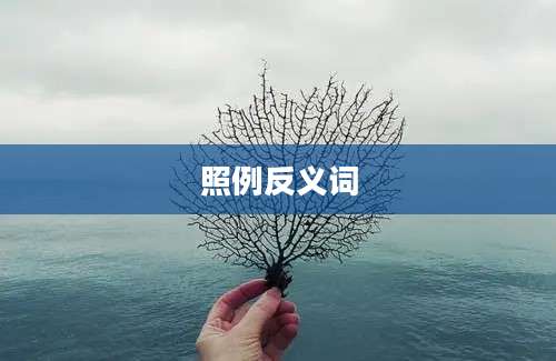 照例反义词