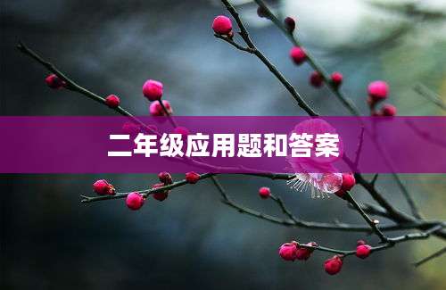 二年级应用题和答案