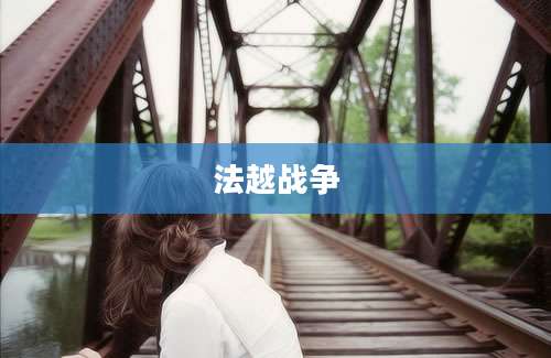 法越战争