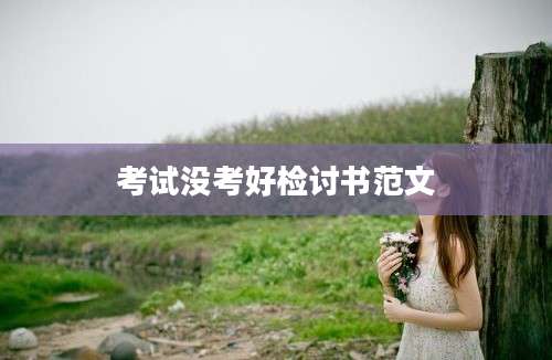 考试没考好检讨书范文