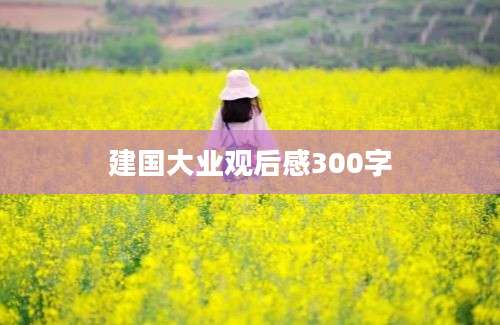 建国大业观后感300字
