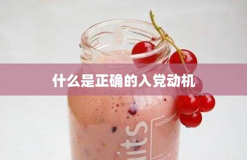 什么是正确的入党动机