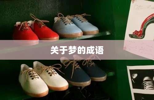 关于梦的成语