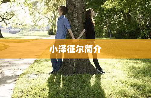 小泽征尔简介