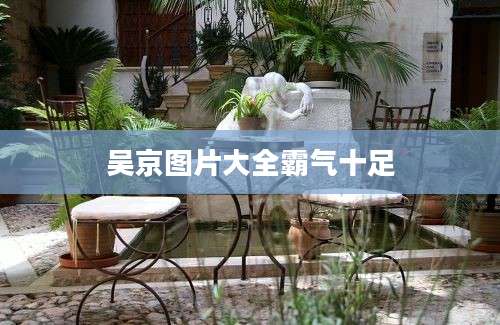 吴京图片大全霸气十足