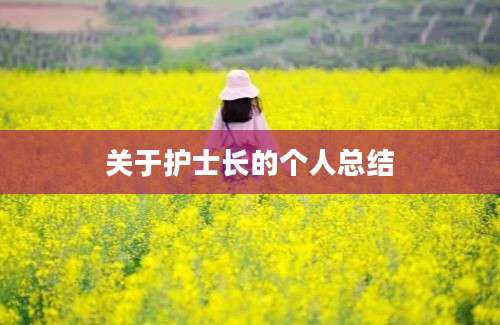 关于护士长的个人总结