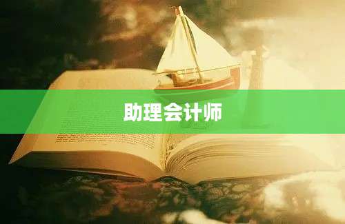 助理会计师