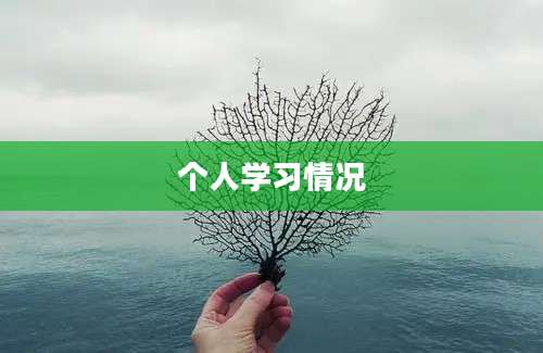 个人学习情况