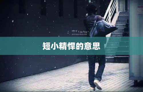 短小精悍的意思