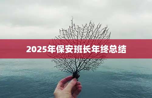 2025年保安班长年终总结