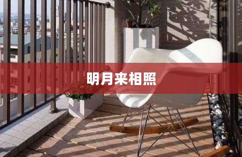 明月来相照