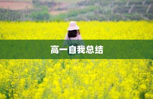 高一自我总结