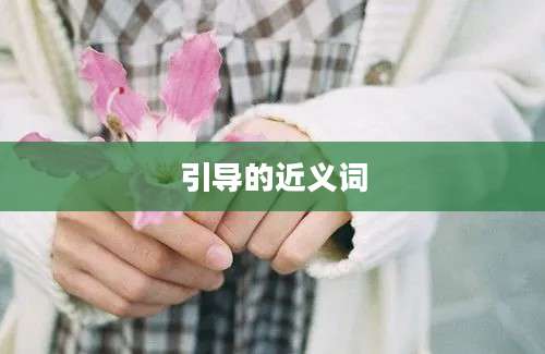 引导的近义词