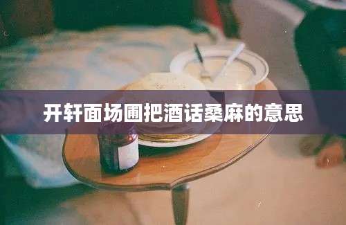 开轩面场圃把酒话桑麻的意思