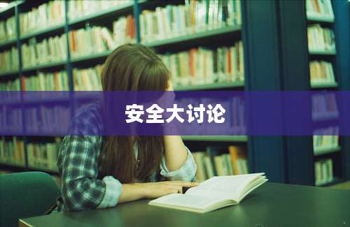 安全大讨论