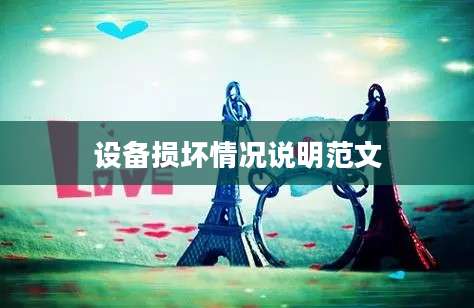 设备损坏情况说明范文