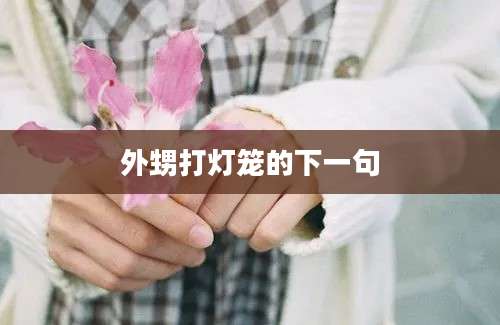 外甥打灯笼的下一句