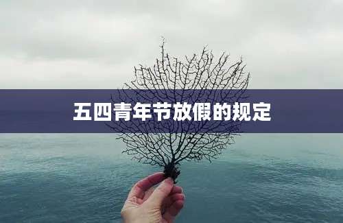 五四青年节放假的规定
