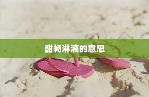 酣畅淋漓的意思