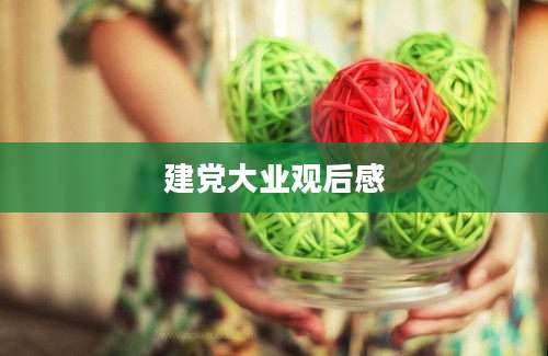建党大业观后感