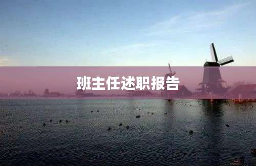 班主任述职报告