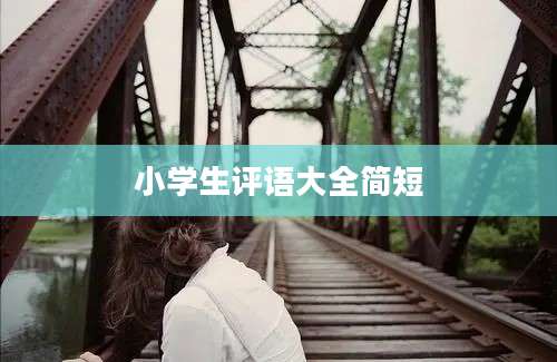 小学生评语大全简短