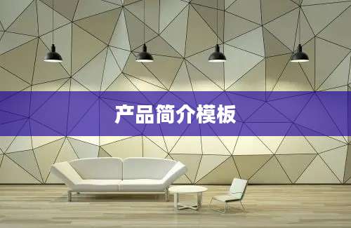 产品简介模板