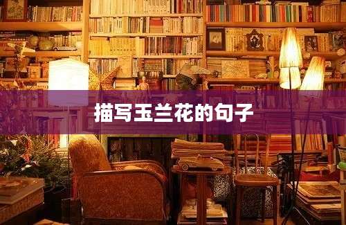 描写玉兰花的句子