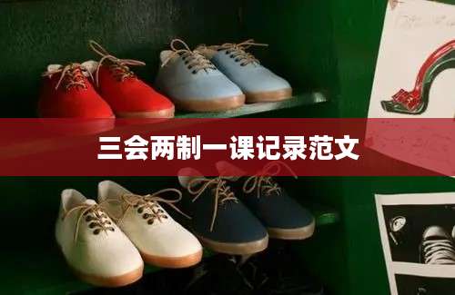 三会两制一课记录范文