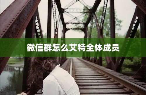 微信群怎么艾特全体成员