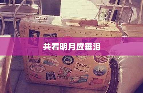 共看明月应垂泪