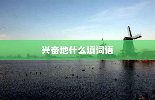 兴奋地什么填词语