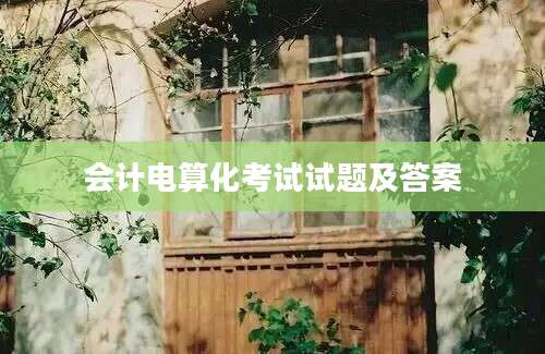 会计电算化考试试题及答案