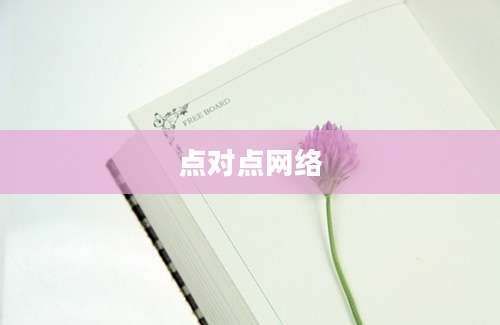 点对点网络