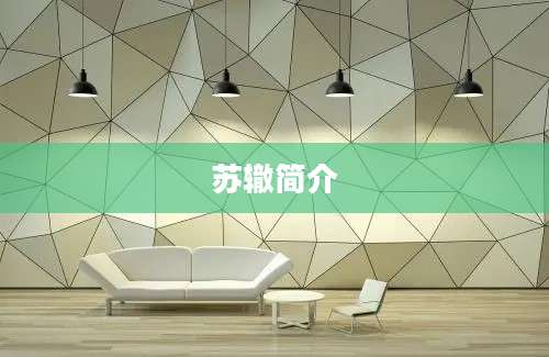 苏辙简介