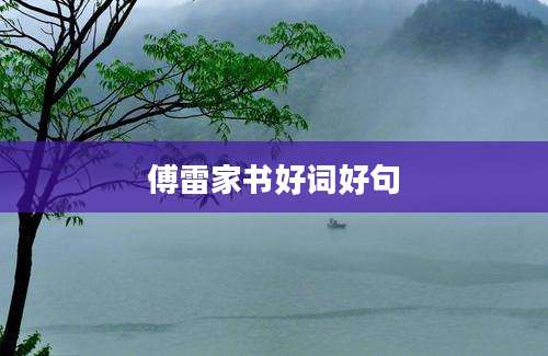 傅雷家书好词好句