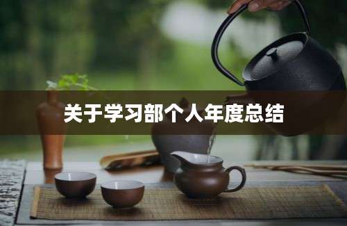 关于学习部个人年度总结