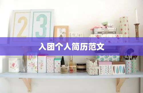 入团个人简历范文