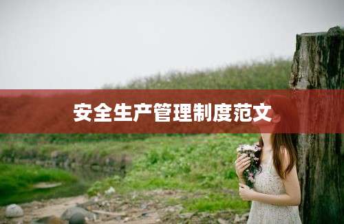 安全生产管理制度范文
