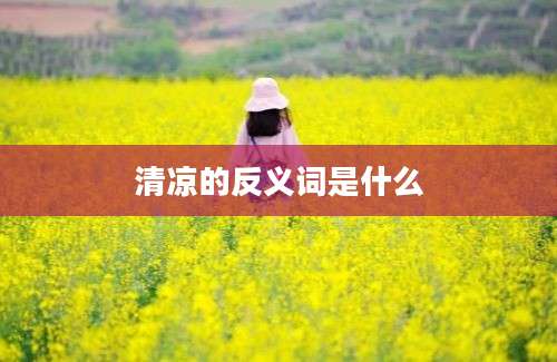 清凉的反义词是什么