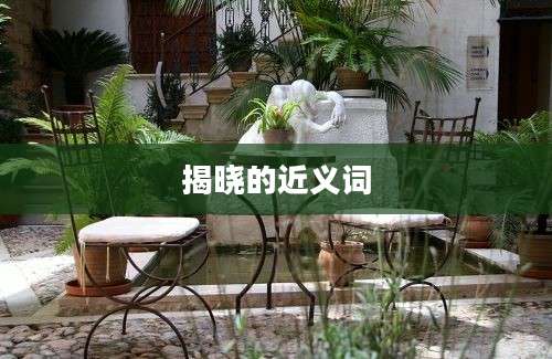 揭晓的近义词