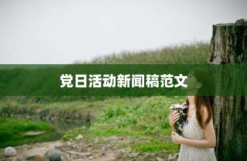 党日活动新闻稿范文