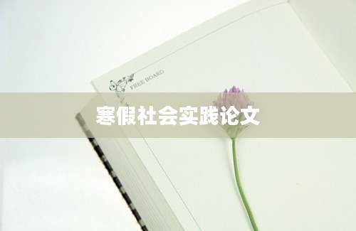 寒假社会实践论文