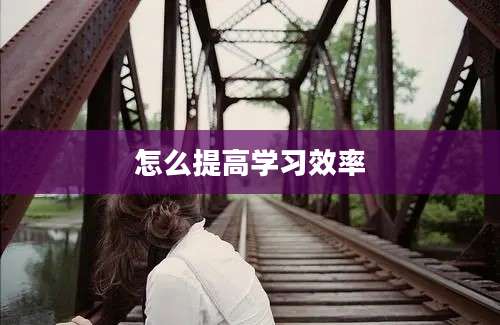怎么提高学习效率