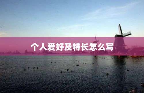个人爱好及特长怎么写
