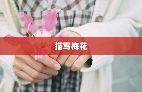 描写梅花