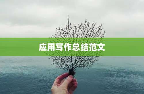 应用写作总结范文